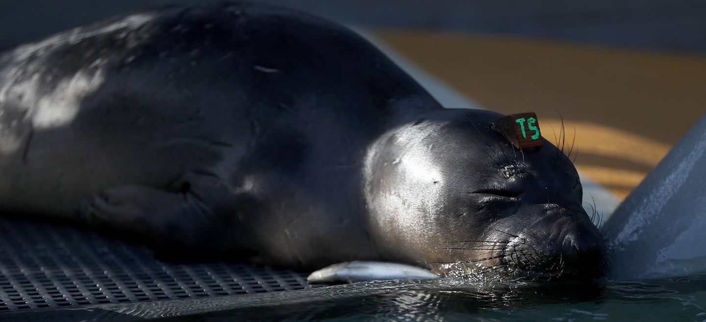 EL INFORMADOR / ARCHIVO