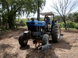 El uso de la maquinaria será decidido por Consejos Municipales de Desarrollo Rural. ARCHIVO / EL INFORMADOR