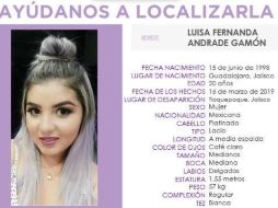 Además de las Alertas Amber y el Protocolo Alba, ya fue abierta una alerta para la búsqueda, fuera de Jalisco, del vehículo en el que salieron. TWITTER