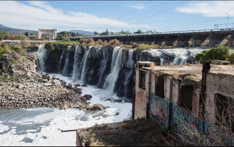 Con los cambios, los legisladores dan atribuciones a la Proepa para hacer las inspecciones de vigilancia del cumplimiento de las disposiciones. EL INFORMADOR / ARCHIVO