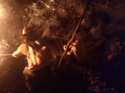 En el lugar trabajaron cerca de 50 brigadistas de la Semadet, del OPD del Bosque La Primavera, y de la Coordinación municipal de Zapopan. TWITTER / @BosquePrimavera