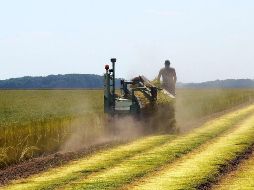 Alfaro triplica recursos para el campo