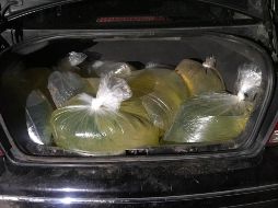 Los elementos de seguridad hallan en las cajuelas 20 bolsas de plástico transparente con 15 litros en cada una de ellas. TWITTER / @PoliciaFedMx