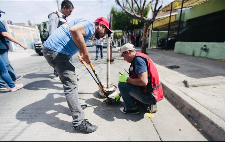 Habitantes denunciaron que estos artículos propiciaban inseguridad tanto para vecinos como para comerciantes. ESPECIAL