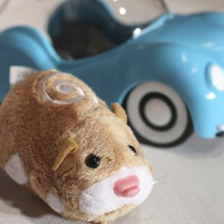 Multa y tres años sin poder tener mascotas por matar a un hámster en Portugal