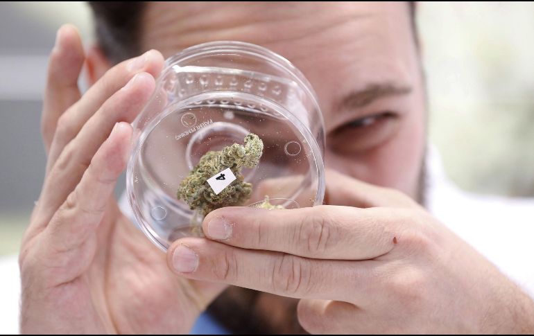 La subsecretaría de Industria y Comercio de la Secretaría de Economía concluyó que los lineamientos van en contra de la normatividad de regulaciones no arancelarias al comercio exterior. AP/Archivo