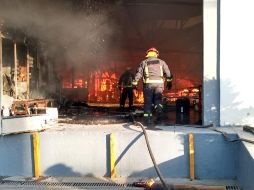 Los elementos encontraron propagado el fuego en una superficie de unos 40 metros por 50, tras lo que procedieron a la extinción del mismo. ESPECIAL / Bomberos de Zapopan