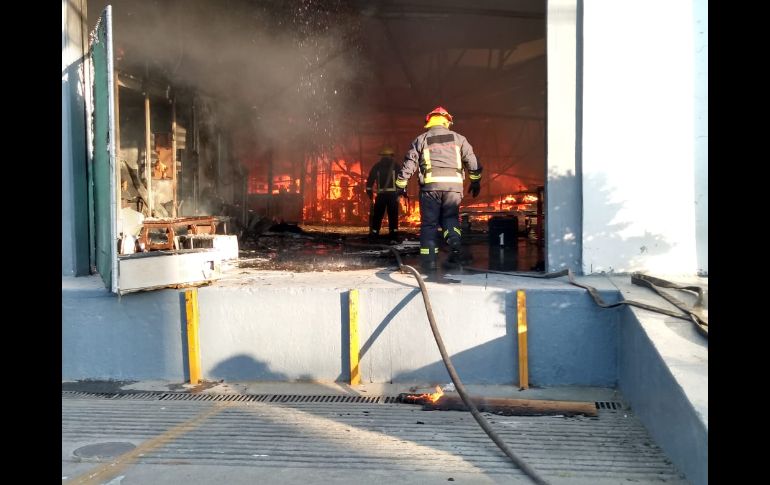 ESPECIAL / Bomberos de Zapopan