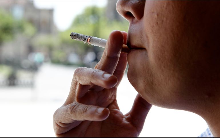 Según los resultados del estudio, biológicamente, el tejido de los ovarios parece más viejo y la hembra se volvería infértil a una edad más temprana. EL INFORMADOR / ARCHIVO