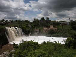 Se trabaja en un nuevo modelo de inspección en el que el personal de la Proepa contará con la asistencia técnica de peritos especialistas acompañados por autoridades municipales y federales. EL INFORMADOR/Archivo