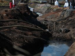 Algunos de los efectos desfavorables es la disminución del rendimiento de los cultivos, así como la contaminación a las aguas superficiales y freáticas por procesos de transferencia. EFE / ARCHIVO