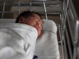 Los gemelos tendrán que pagar, cada uno, el 30 % del salario mínimo y la mitad de los gastos médicos, odontológicos y escolares de la niña. EL INFORMADOR/ARCHIVO