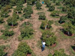 De momento, la amenaza del presidente estadounidense aún no ha repercutido negativamente. AFP / J. Castanares