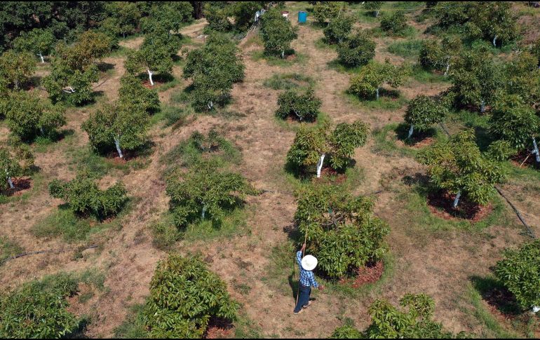 De momento, la amenaza del presidente estadounidense aún no ha repercutido negativamente. AFP / J. Castanares