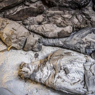 Hallan decenas de ratones momificados en antigua tumba egipcia