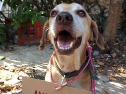 Este 5 de abril, Vanessa informó que las quimioterapias de 