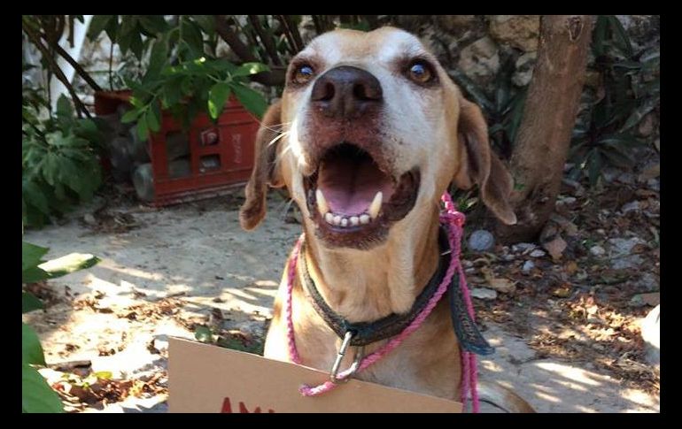 Este 5 de abril, Vanessa informó que las quimioterapias de 