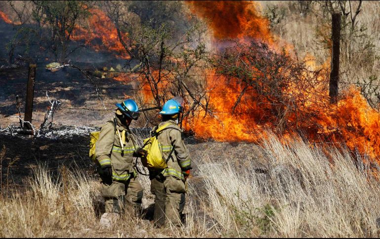 Los incendio son provocados debido al estiaje, la baja humedad en el ambiente y las altas concentraciones de material vegetal seco que sirve como combustible. SUN/ ARCHIVO