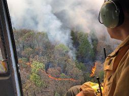 El área es atendida por Semadet, brigadistas, Conador, entre otros grupos. ESPECIAL / Protección Civil Jalisco