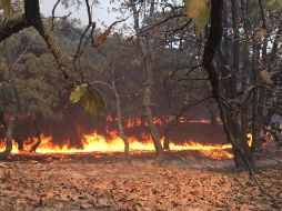 A las 21 horas ya se había controlado el incendio y se esperó enfriarlo en las siguientes horas. ESPECIAL / Bomberos de Zapopan