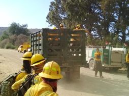 A nivel Estado, van 80 incendios forestales que han afectado un 892 hectáreas en lo que va de 2019. ESPECIAL/ Bomberos de Zapopan