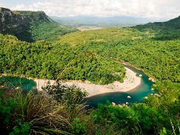 El ''Homo luzonensis'', que no es un ancestro directo del hombre moderno, sería una especie vecina, contemporánea del Homo sapiens, pero con cierto número de características primitivas. AFP / F. Detroit