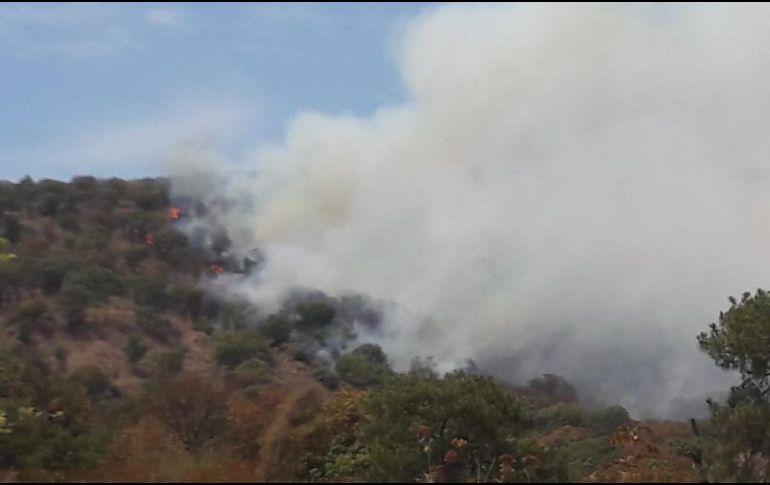 Se movilizaron unas 62 personas de brigadas para combatir el incendio. ESPECIAL / Bomberos de Zapopan