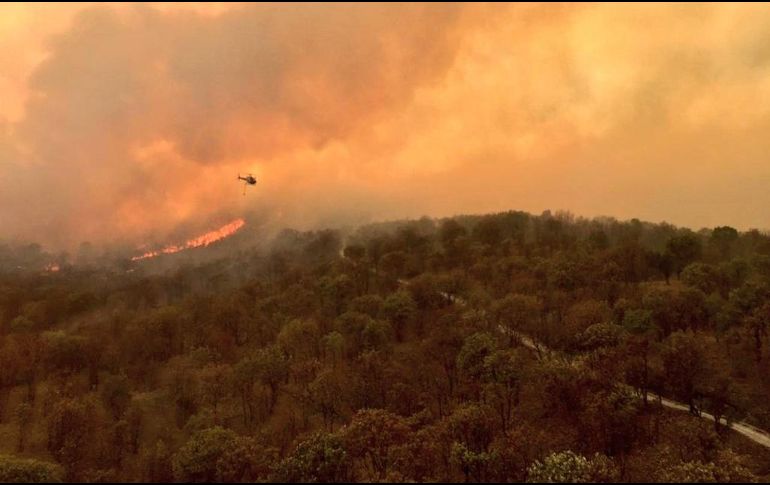 Durante la presentación del Centro Comunitario Colmena en San Juan de Ocotán, el alcalde dijo que se presume que los últimos dos incendios en La Primavera fueron provocados. ESPECIAL