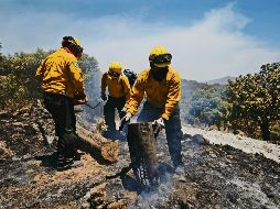 Unos 639 elementos de distintas dependencias federales, estatales y municipales combatieron el incendio en el Área Natural Protegida (ANP) del Bosque La Primavera, que fue controlado a las 15:00 horas de ayer. ESPECIAL