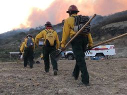 Al menos 900 hectáreas resultaron afectadas luego del incendio que se registró en La Primavera y que tardaron alrededor de 24 horas en controlar. TWITTER / Al menos 900 hectáreas resultaron afectadas luego del incendio que se registró en La Primavera y que tardaron alrededor de 24 horas en controlar. TWITTER / Al menos 900 hectáreas resultaron afectadas luego del incendio que se registró en La Primavera y que tardaron alrededor de 24 horas en controlar. TWITTER / @PCJalisco