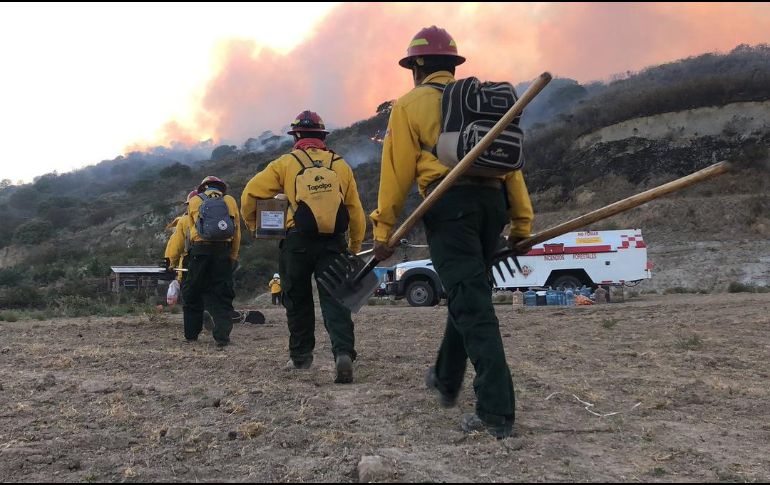 Al menos 900 hectáreas resultaron afectadas luego del incendio que se registró en La Primavera y que tardaron alrededor de 24 horas en controlar. TWITTER / Al menos 900 hectáreas resultaron afectadas luego del incendio que se registró en La Primavera y que tardaron alrededor de 24 horas en controlar. TWITTER / Al menos 900 hectáreas resultaron afectadas luego del incendio que se registró en La Primavera y que tardaron alrededor de 24 horas en controlar. TWITTER / @PCJalisco