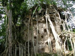 Se busca proteger la selva de Campeche de la explotación. EFE/INAH/ARCHIVO