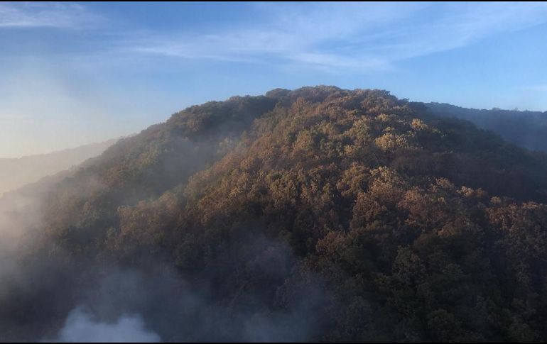 La superficie afectada por el sinisetro aún no se confirma. ESPECIAL / Protección Civil Jalisco