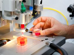 Los órganos son creados a partir de tejido del paciente. AFP