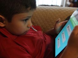 De los 18 millones de suscriptores de Internet fijo que hay en el país, 52% tiene el servicio con Telmex/Telnor; 23%, con Televisa; 16%, con Megacable, y el resto con otros operadores. EL INFORMADOR / ARCHIVO