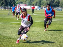 Los dirigidos por Alfonso Sosa y auspiciados por el Atlético de Madrid de España terminaron el torneo invictos y sin quien les hiciera sombra. TWITTER / @AtletideSanLuis