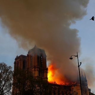 Conoce las reliquias que resguarda Notre Dame