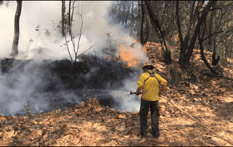 Con los dos eventos de hoy, son ya 20 los incendios forestales ocurridos en La Primavera durante el presente estiaje. TWITTER / @BosquePrimavera