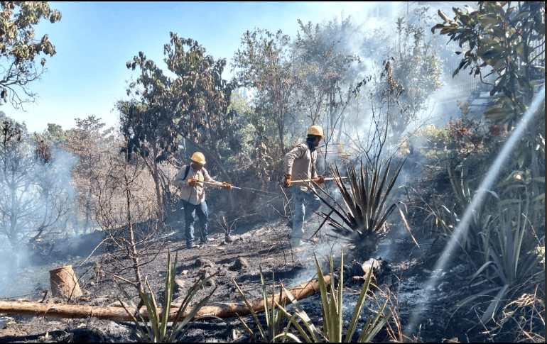 El siniestro no estaba dentro del área natural protegida del Bosque La Primavera. TWITTER / @UMPCyBZ