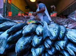 Recomiendan comprar los pescados y mariscos en comercios que cumplan las medidAa sanitarias necesarias para su conservación.  EL INFORMADOR / ARCHIVO