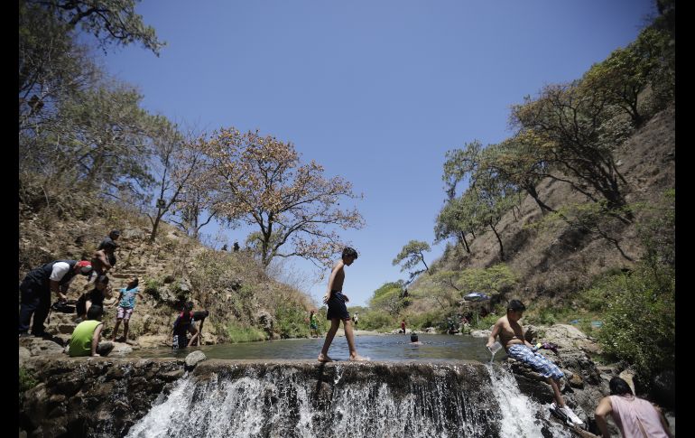 Las puertas del Bosque La Primavera y del Río Caliente se encuentran abiertas de 8:00 a 15:00 horas para los visitantes que deseen hacer uso del bosque en estos días. EL INFORMADOR / F. Atilano
