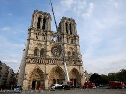 La colonia de abejas ubicada en la catedral forma parte de un proyecto de recuperación de la apicultura urbana en París. EFE/M. Euler