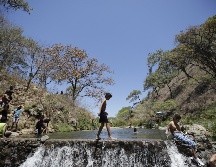 Las puertas del Bosque La Primavera y del Río Caliente se encuentran abiertas de 8:00 a 15:00 horas para los visitantes que deseen hacer uso del bosque en estos días. EL INFORMADOR / F. Atilano