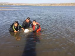 El fallecido era vecino del lugar, y se encontraba a 45 metros de la orilla a una profundidad de tres metros. CORTESÍA