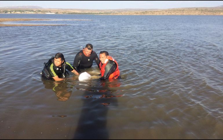 El fallecido era vecino del lugar, y se encontraba a 45 metros de la orilla a una profundidad de tres metros. CORTESÍA