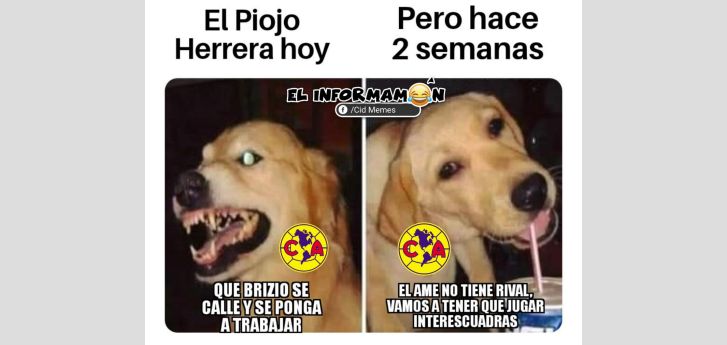 ¿Qué le pasó a 'El Piojo'?