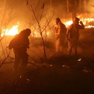 Registran incendio en bosque El Centinela; hay un detenido