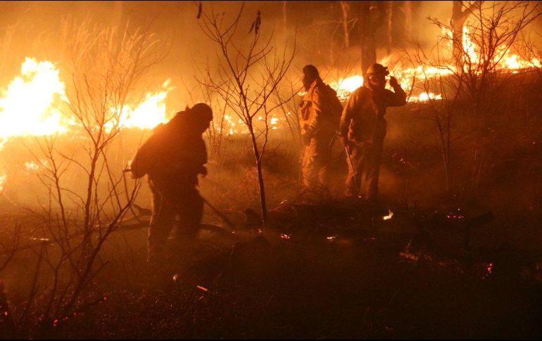 El incendio fue controlado poco después de las 23:00 hrs. TWITTER / @UMPCyBZ