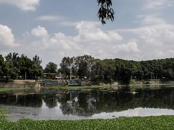 Inicia nuevo rescate del Parque de la Solidaridad