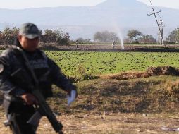 El Presidente destaca que con este plan se tienen ahorros del orden de 12 mil millones de pesos, 